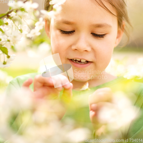 Image of Portrait of a little girl near tree in bloom