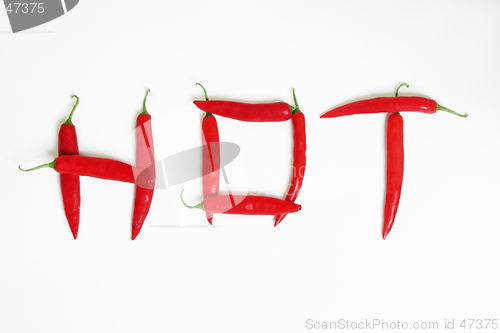 Image of Hot Chilli