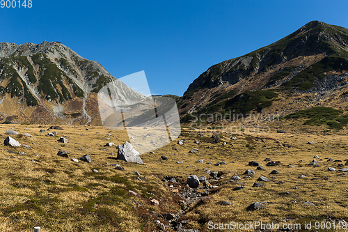 Image of Highland in Mt.Tateyama