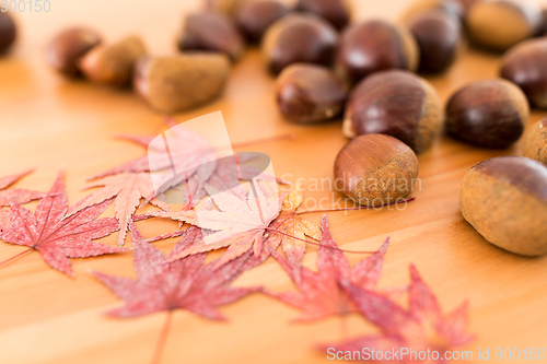 Image of Chestnuts and maple leaves