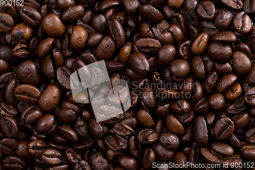 Image of Roasted Coffee bean