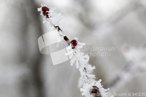 Image of Snow drifts in winter