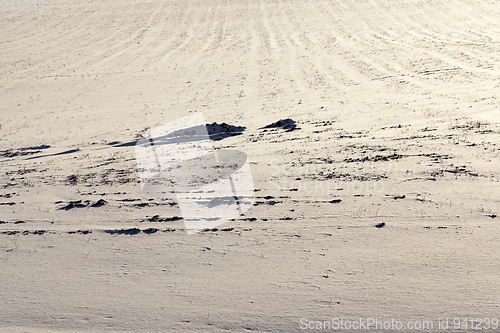 Image of Snow surface, winter