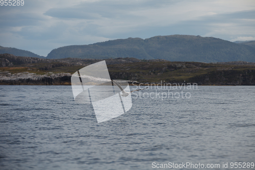 Image of Beautiful view on norwegian fjords