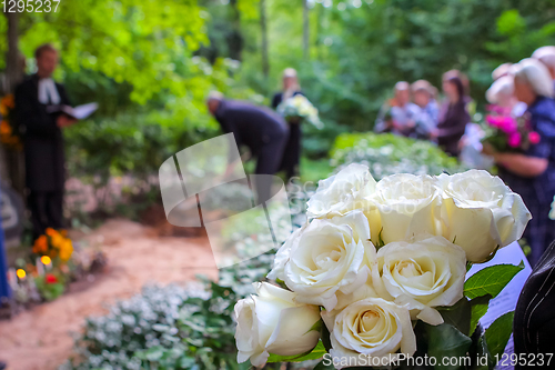 Image of White roses at funeral near the grave.