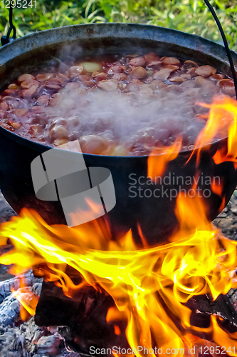 Image of Cooking soup in a pot on campfire.