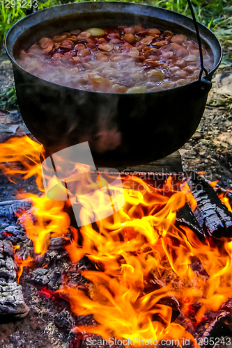 Image of Cooking soup in a pot on campfire.