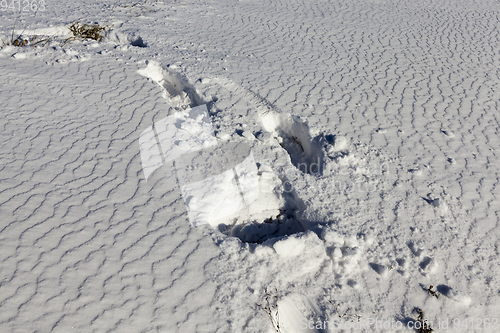 Image of Snow surface, winter