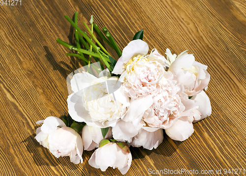 Image of Peony , close up