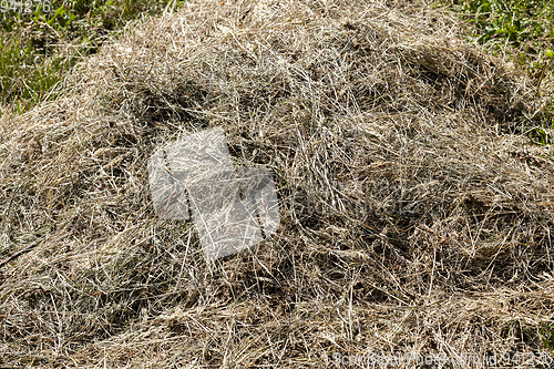 Image of mowing of grass on meadows