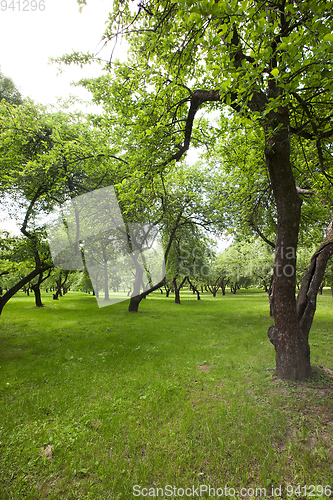 Image of spring Park