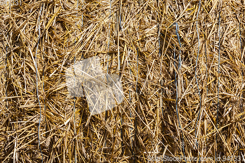 Image of straw linked, close up