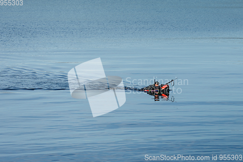 Image of fisher swimming for fish