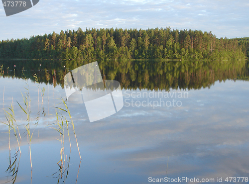 Image of Forest lake