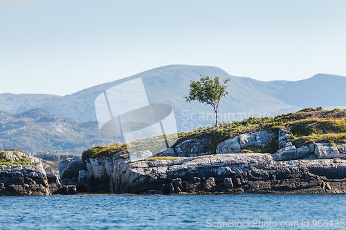 Image of Beautiful view on norwegian fjords