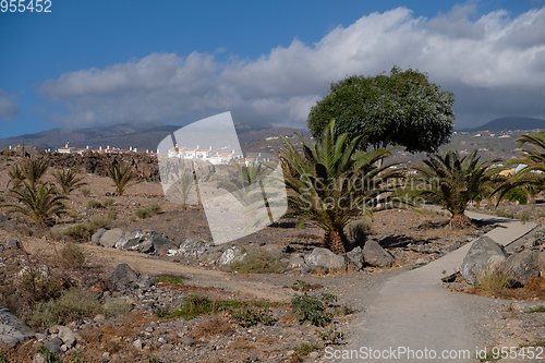 Image of wild promenade on tenerife island