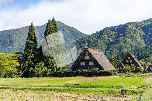 Image of Traditional Japanese Shirakawago village 