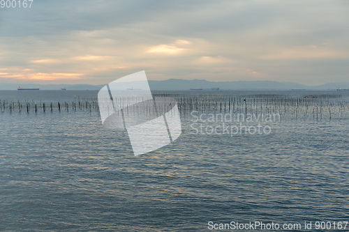 Image of Fish farm