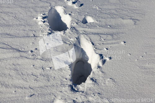 Image of Winter time of the year, close-up