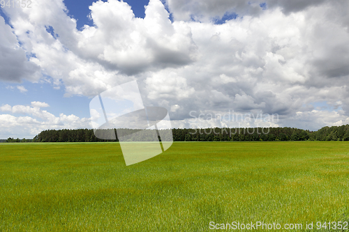Image of green field and blue sky