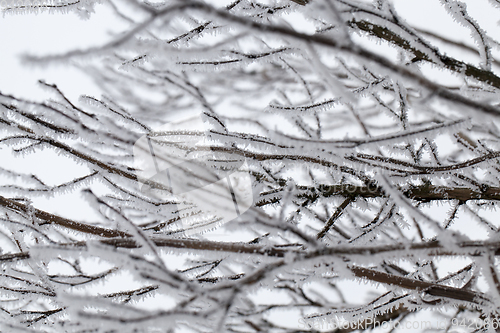 Image of Snow drifts in winter