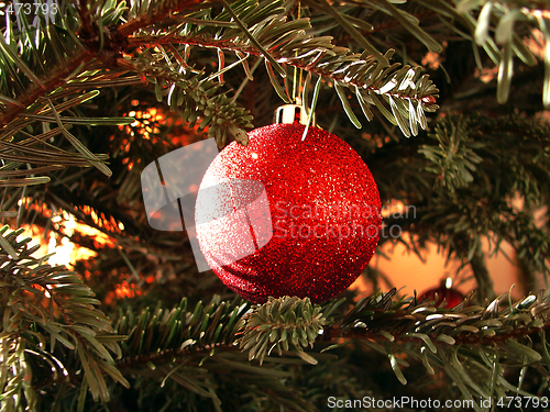 Image of Christmas tree