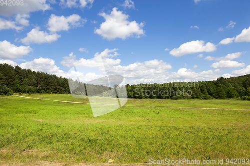 Image of summer sunny day