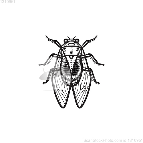 Image of Fly hand drawn sketch icon.