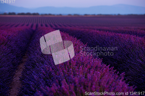 Image of colorful sunset at lavender field