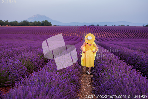 Image of asian woman in yellow dress and hat at lavender field