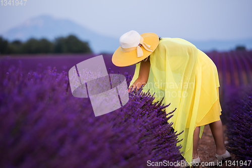 Image of asian woman in yellow dress and hat at lavender field