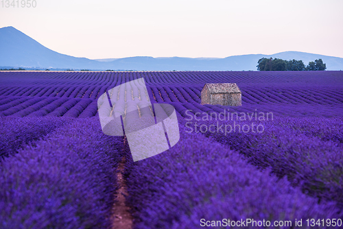 Image of stone house at lavender field