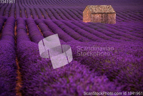 Image of stone house at lavender field