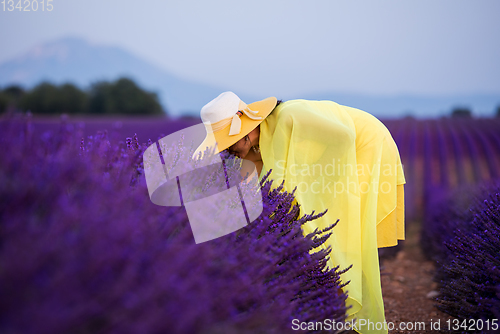 Image of asian woman in yellow dress and hat at lavender field