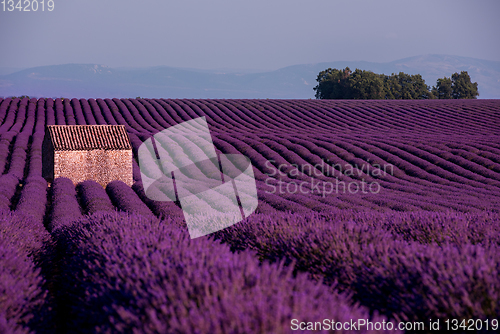 Image of stone house at lavender field