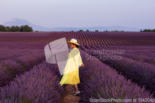 Image of asian woman in yellow dress and hat at lavender field