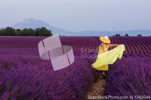 Image of asian woman in yellow dress and hat at lavender field