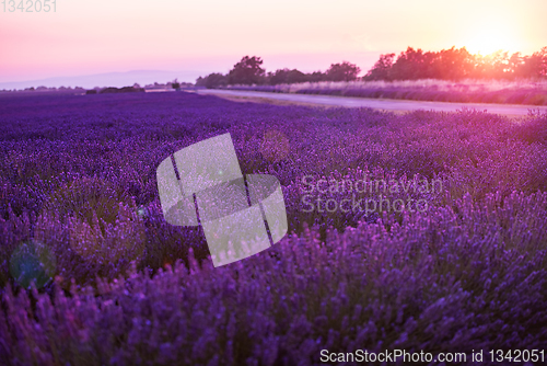 Image of colorful sunset at lavender field