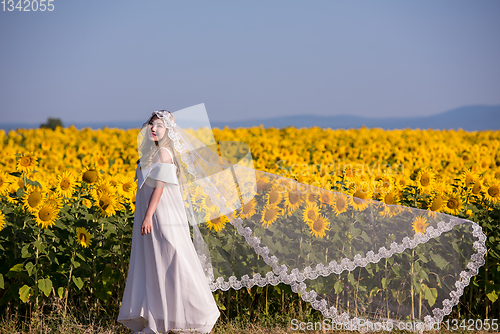 Image of asian woman at sunflower field