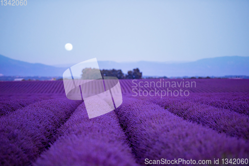 Image of the moon above lavender field france