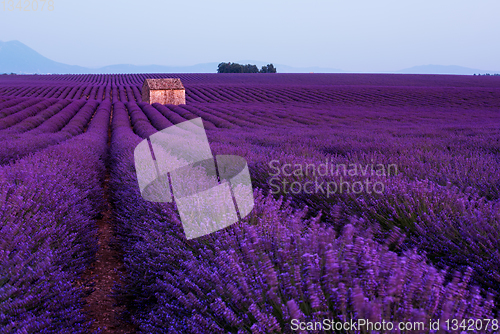 Image of stone house at lavender field