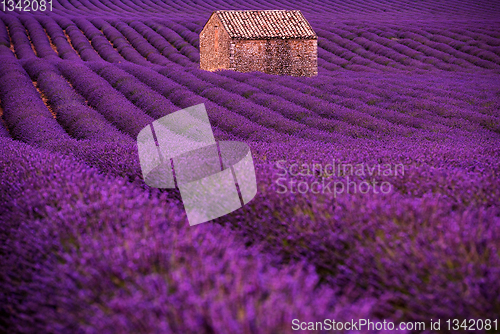 Image of stone house at lavender field