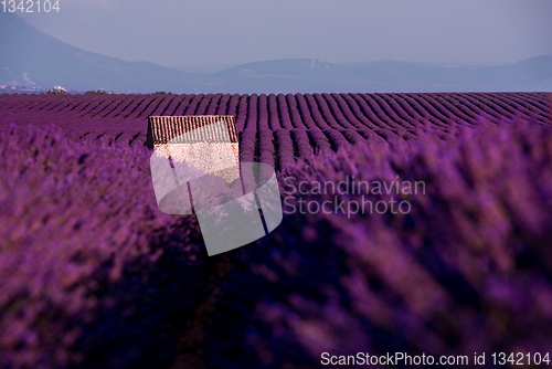 Image of stone house at lavender field