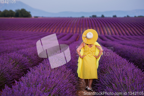 Image of asian woman in yellow dress and hat at lavender field