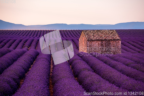 Image of stone house at lavender field