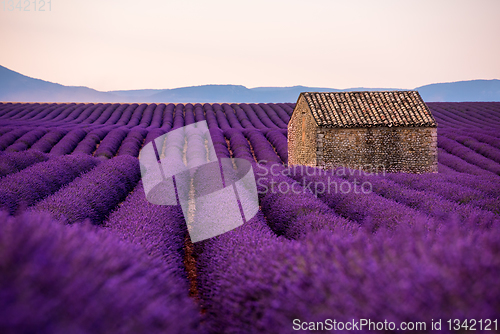 Image of stone house at lavender field