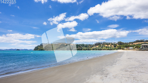 Image of hot springs beach New Zealand Coromandel