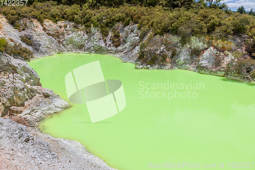 Image of geothermal activity at Rotorua in New Zealand