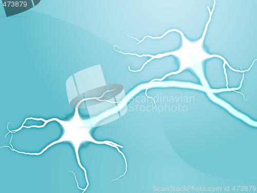 Image of Neuron nerve cells