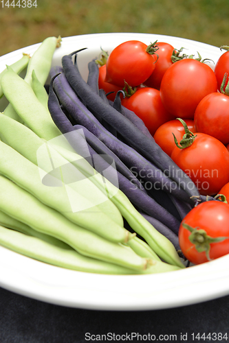 Image of Beans and ripe tomatoes in a white ceramic dish 